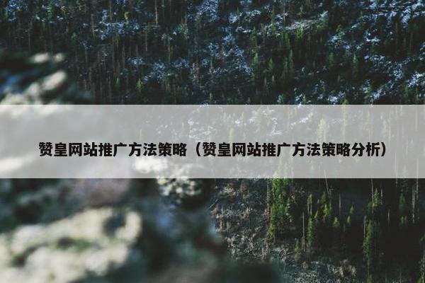 赞皇网站推广方法策略（赞皇网站推广方法策略分析）
