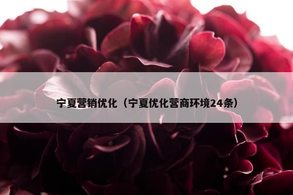 宁夏营销优化（宁夏优化营商环境24条）