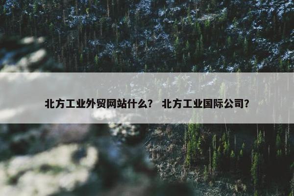 北方工业外贸网站什么？ 北方工业国际公司？