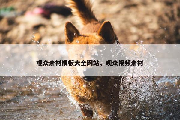 观众素材模板大全网站，观众视频素材