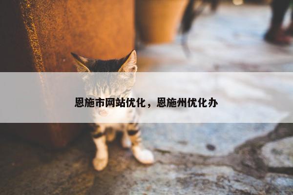 恩施市网站优化，恩施州优化办