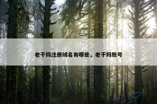 老干妈注册域名有哪些，老干妈账号
