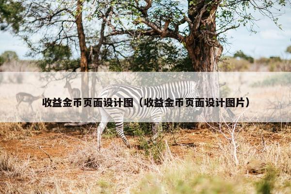 收益金币页面设计图（收益金币页面设计图片）