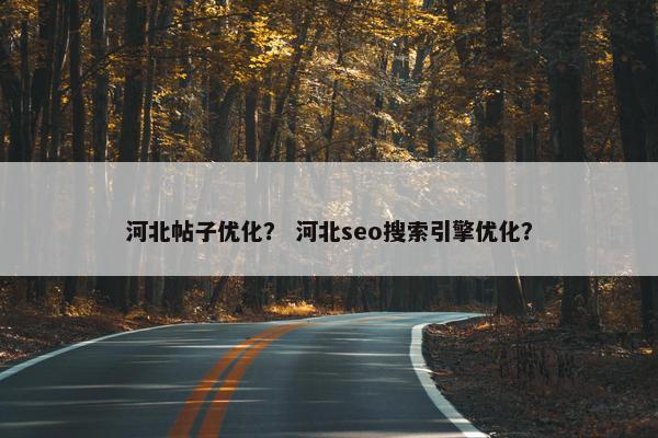 河北帖子优化？ 河北seo搜索引擎优化？