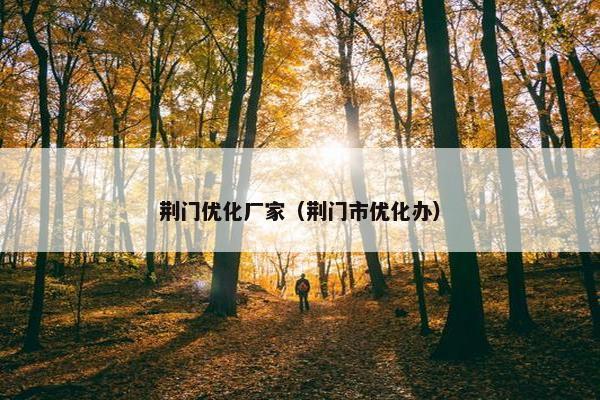 荆门优化厂家（荆门市优化办）