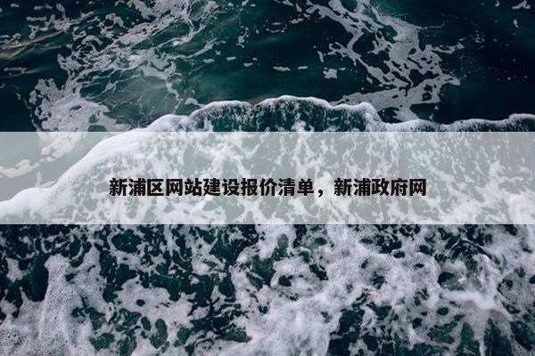 新浦区网站建设报价清单，新浦政府网