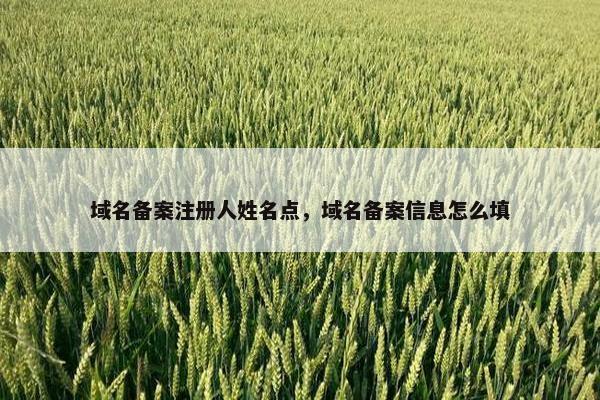 域名备案注册人姓名点，域名备案信息怎么填