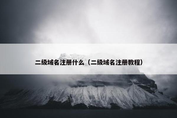 二级域名注册什么（二级域名注册教程）