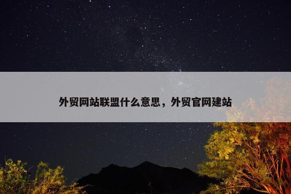 外贸网站联盟什么意思，外贸官网建站