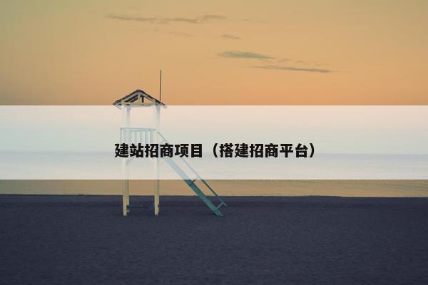 建站招商项目（搭建招商平台）