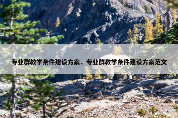 专业群教学条件建设方案，专业群教学条件建设方案范文