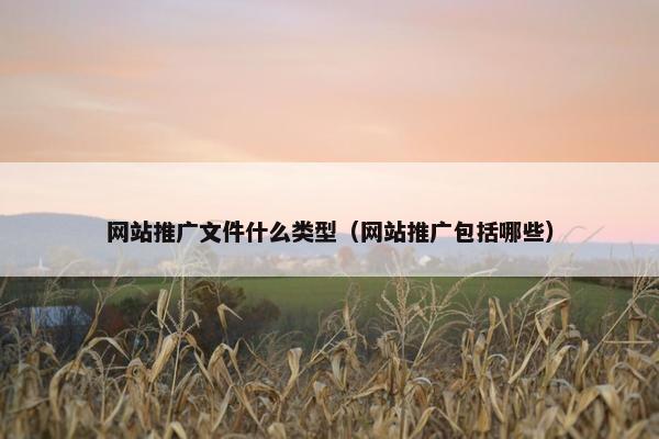 网站推广文件什么类型（网站推广包括哪些）