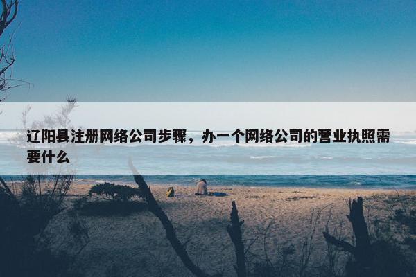 辽阳县注册网络公司步骤，办一个网络公司的营业执照需要什么