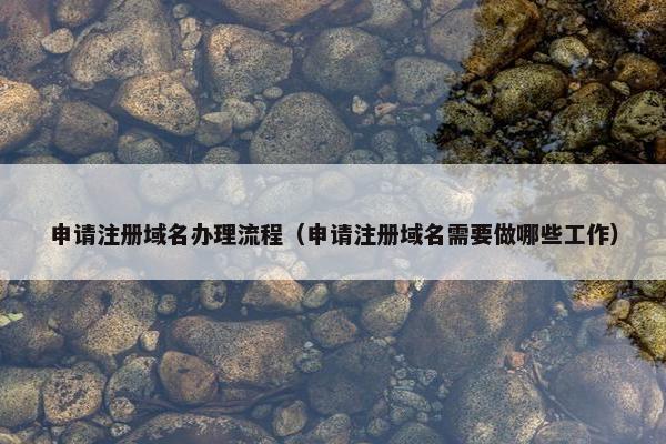 申请注册域名办理流程（申请注册域名需要做哪些工作）