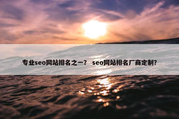 专业seo网站排名之一？ seo网站排名厂商定制？