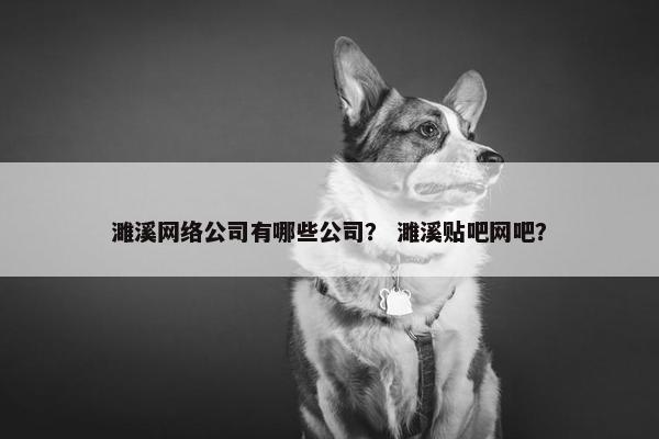 濉溪网络公司有哪些公司？ 濉溪贴吧网吧？