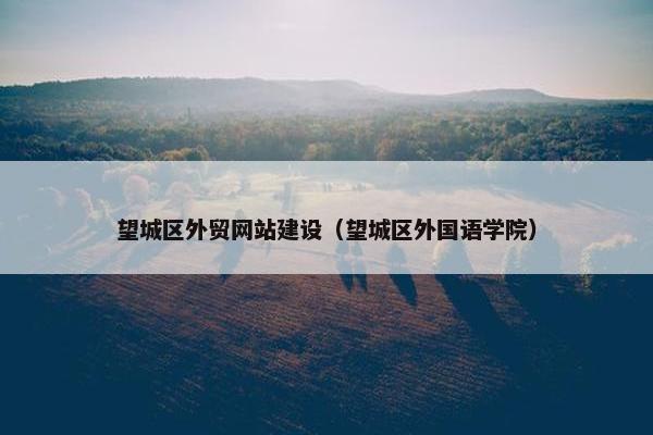 望城区外贸网站建设（望城区外国语学院）
