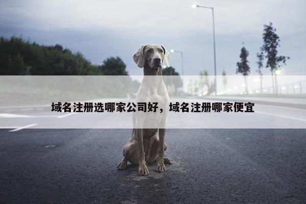 域名注册选哪家公司好，域名注册哪家便宜