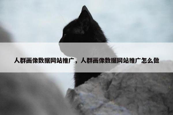 人群画像数据网站推广，人群画像数据网站推广怎么做