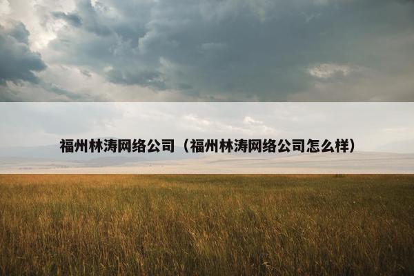 福州林涛网络公司（福州林涛网络公司怎么样）