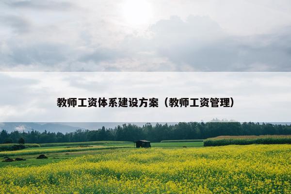 教师工资体系建设方案（教师工资管理）