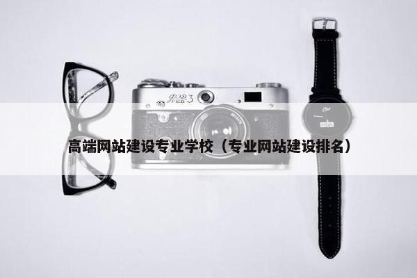 高端网站建设专业学校（专业网站建设排名）
