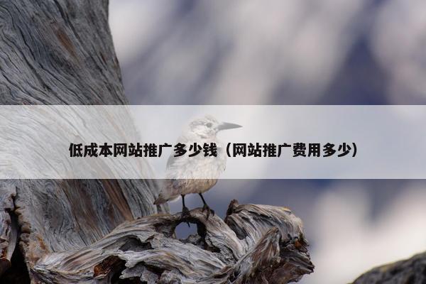 低成本网站推广多少钱（网站推广费用多少）