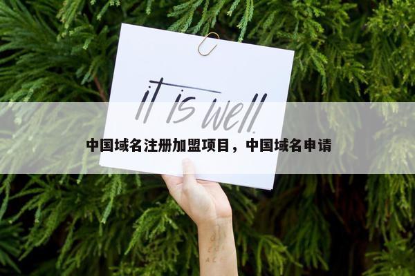 中国域名注册加盟项目，中国域名申请