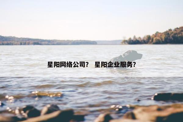 星阳网络公司？ 星阳企业服务？