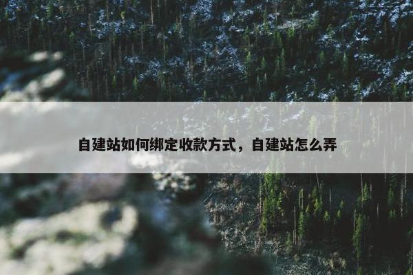 自建站如何绑定收款方式，自建站怎么弄