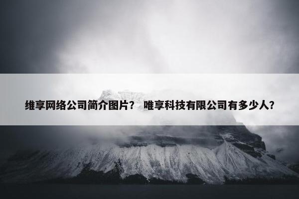 维享网络公司简介图片？ 唯享科技有限公司有多少人？