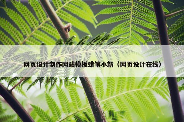 网页设计制作网站模板蜡笔小新（网页设计在线）