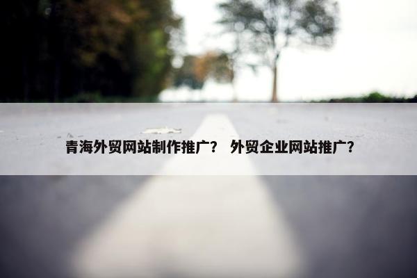 青海外贸网站制作推广？ 外贸企业网站推广？