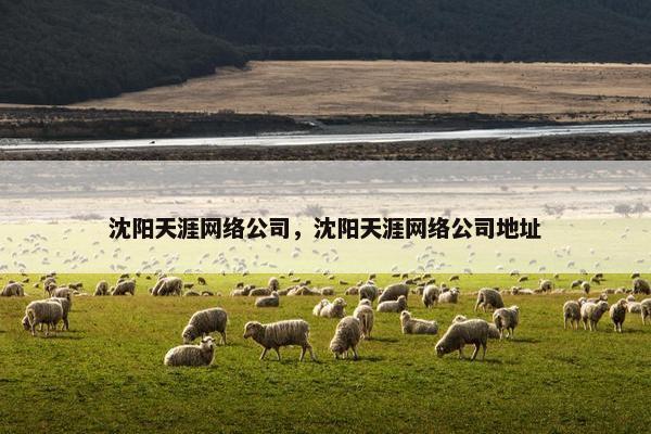 沈阳天涯网络公司，沈阳天涯网络公司地址