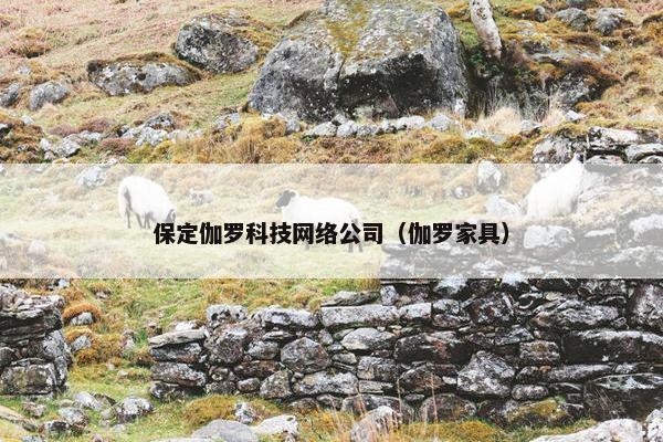 保定伽罗科技网络公司（伽罗家具）