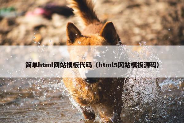 简单html网站模板代码（html5网站模板源码）