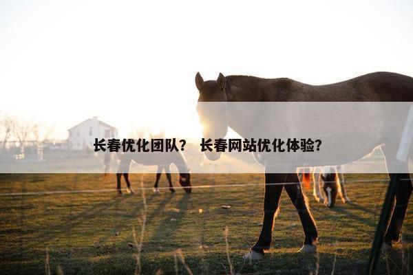 长春优化团队？ 长春网站优化体验？