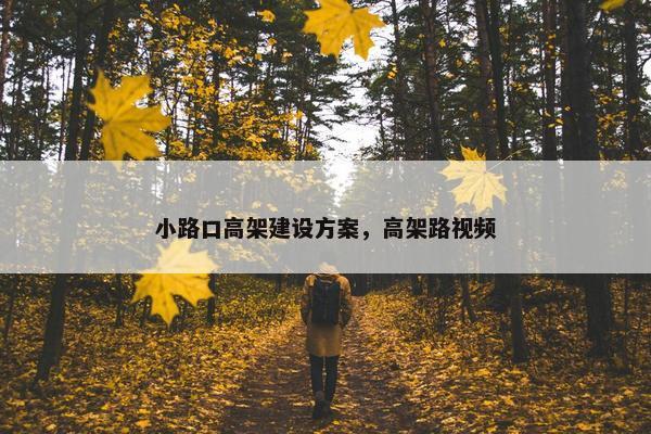 小路口高架建设方案，高架路视频