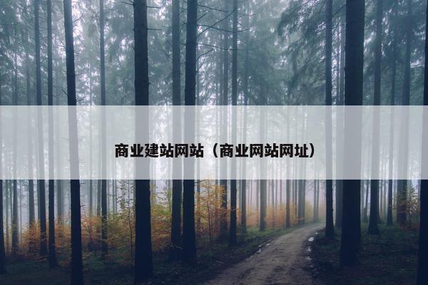 商业建站网站（商业网站网址）