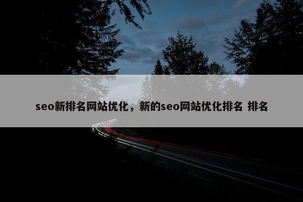 seo新排名网站优化，新的seo网站优化排名 排名