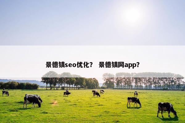 景德镇seo优化？ 景德镇网app？