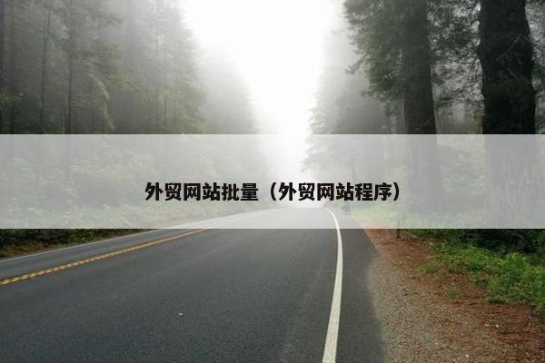 外贸网站批量（外贸网站程序）
