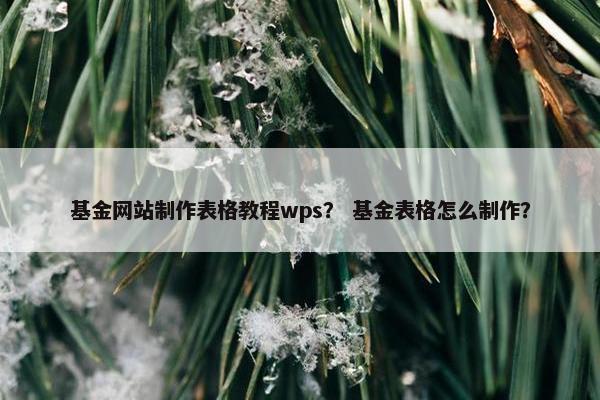 基金网站制作表格教程wps？ 基金表格怎么制作？