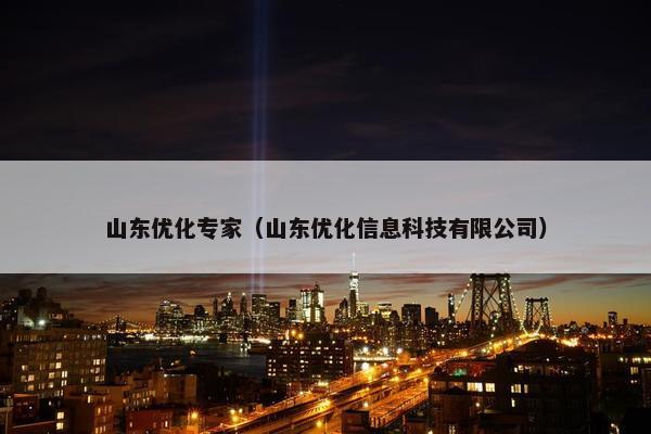 山东优化专家（山东优化信息科技有限公司）