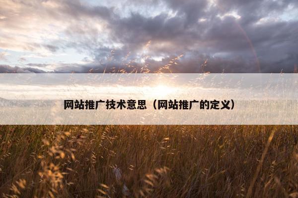 网站推广技术意思（网站推广的定义）