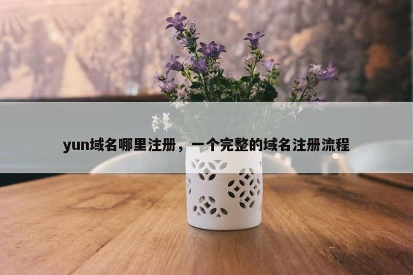 yun域名哪里注册，一个完整的域名注册流程