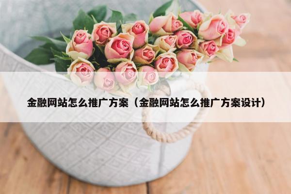 金融网站怎么推广方案（金融网站怎么推广方案设计）