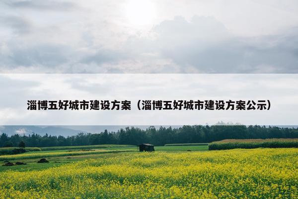 淄博五好城市建设方案（淄博五好城市建设方案公示）