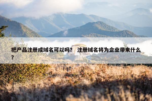把产品注册成域名可以吗？ 注册域名将为企业带来什么？