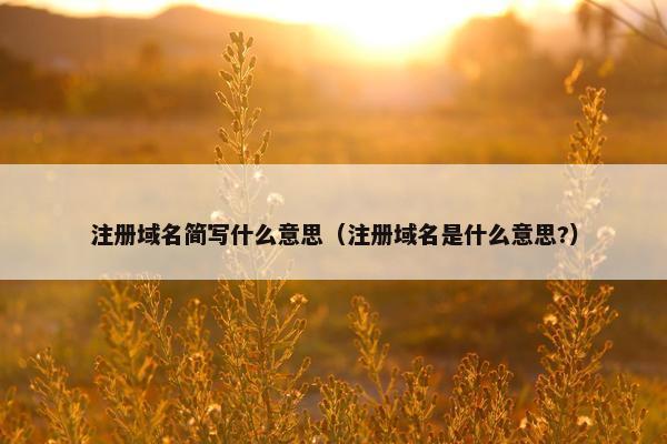 注册域名简写什么意思（注册域名是什么意思?）